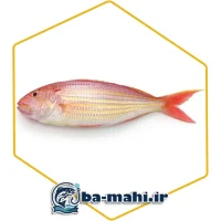 ماهی سرخو (سلطان ابراهیم)