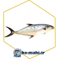 ماهی شیر بندر