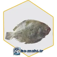 ماهی مزلک