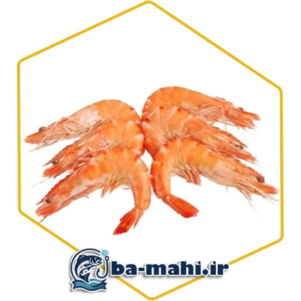 میگو پرورشی 40_50